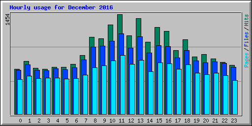 Hourly usage for December 2016